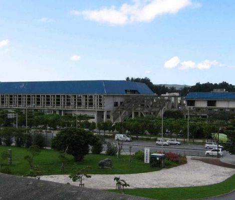 21st Century Forest Gymnasium