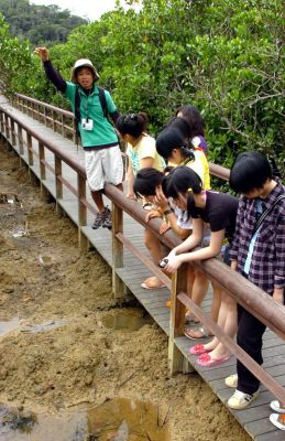 “Canoeing Experience Program”, Yanbaru Nature School