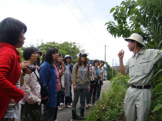 “Guided Tours for Plant Watching”, Yanbaru Kansatsukai