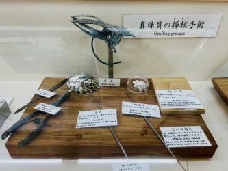 琉球真珠