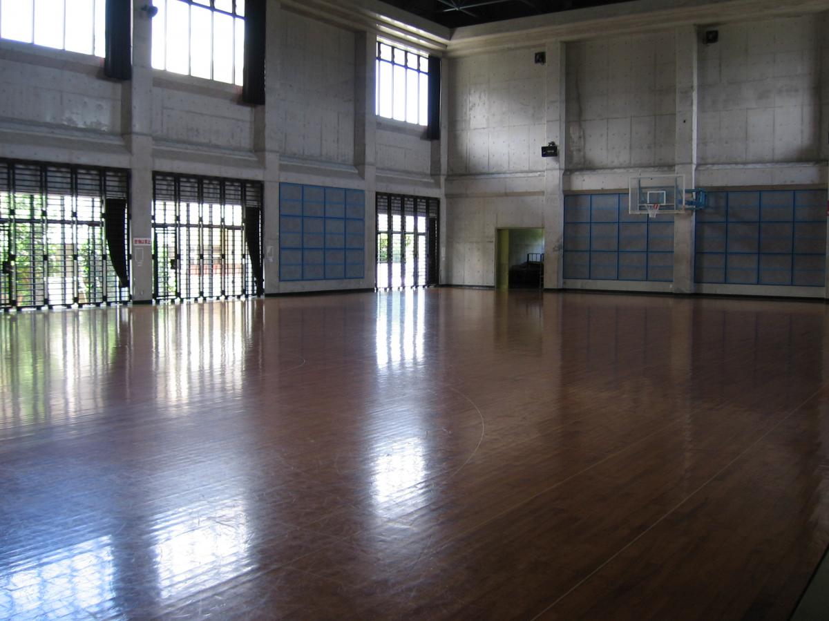 21st Century Forest Gymnasium
