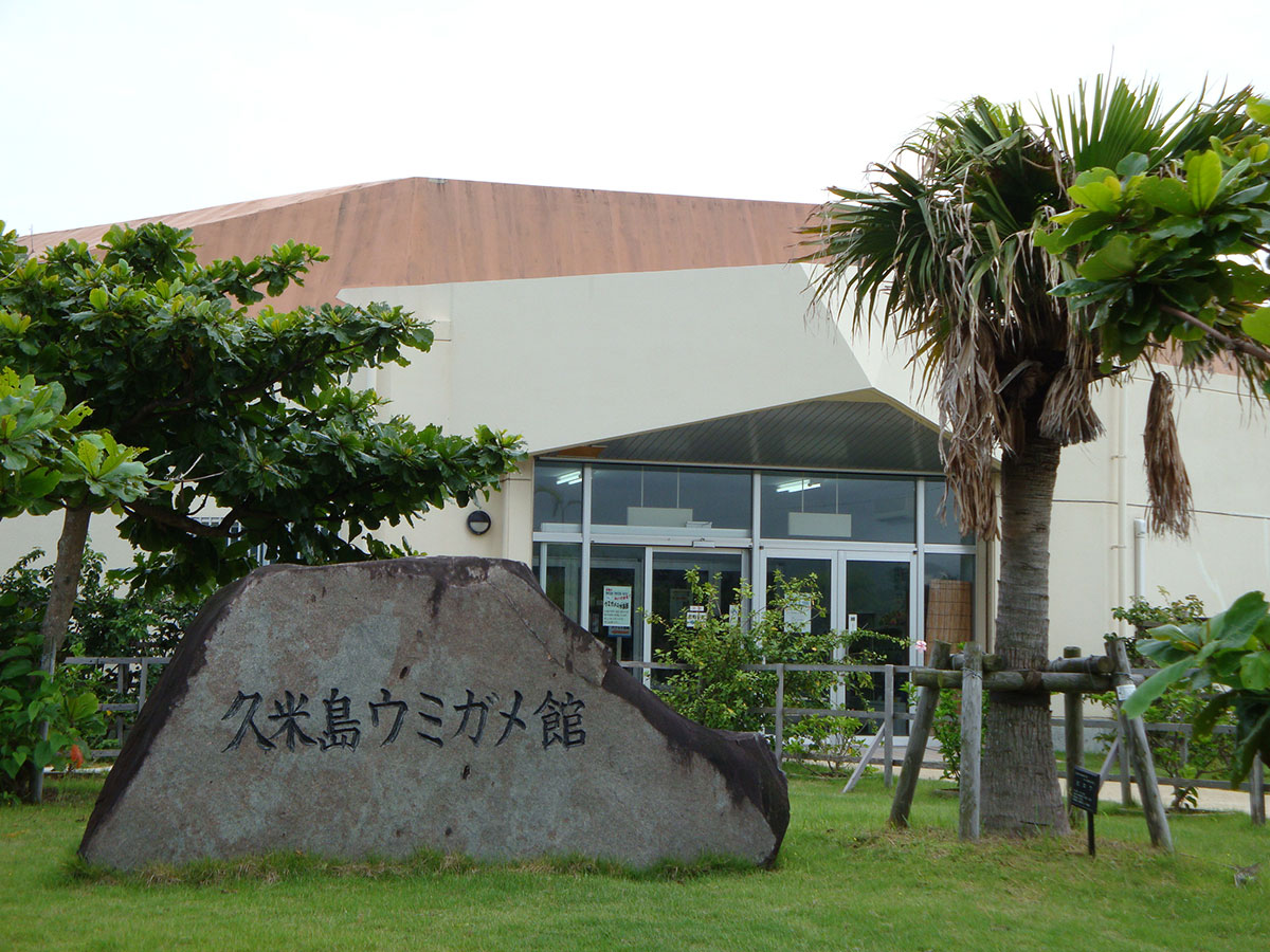 久米島ウミガメ館