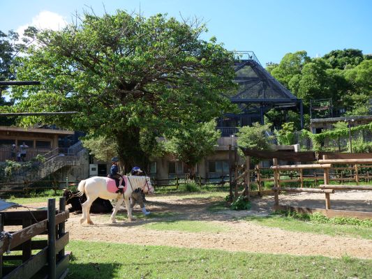 公益財団法人 沖縄こどもの国
