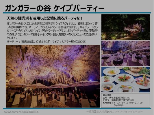 ガンガラーの谷 ケイブパーティ