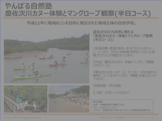 やんばる自然塾/慶佐次川カヌー体験とマングローブ観察(半日コース)