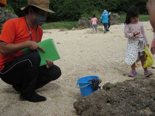 “Learning about the Nature of Okinawa through Fieldwork in Forest”, NPO Nature Experience School