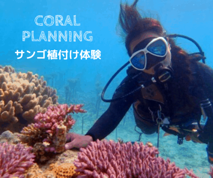 Learning about the natural environment from Okinawa! (Lagoon Co., Ltd.) Tour to Experience the Wonders of Corals [SDGs x Ethical]