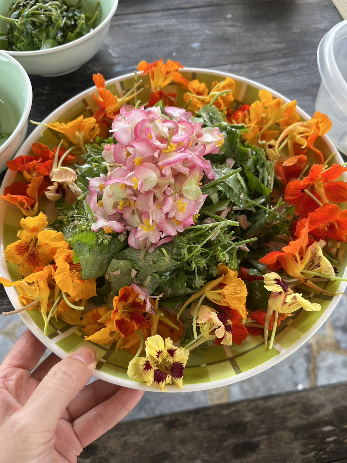 ヤンバルの山菜ご賞味ツアー