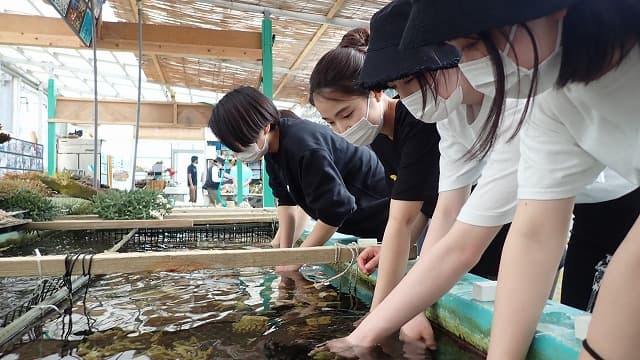 Learning about the natural environment from Okinawa! (Lagoon Co., Ltd.) Tour to Experience the Wonders of Corals [SDGs x Ethical]