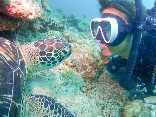 “Diving & Sea Turtle Snorkeling Experience”, ATSUMARU – Diving School Exclusively for Beginners