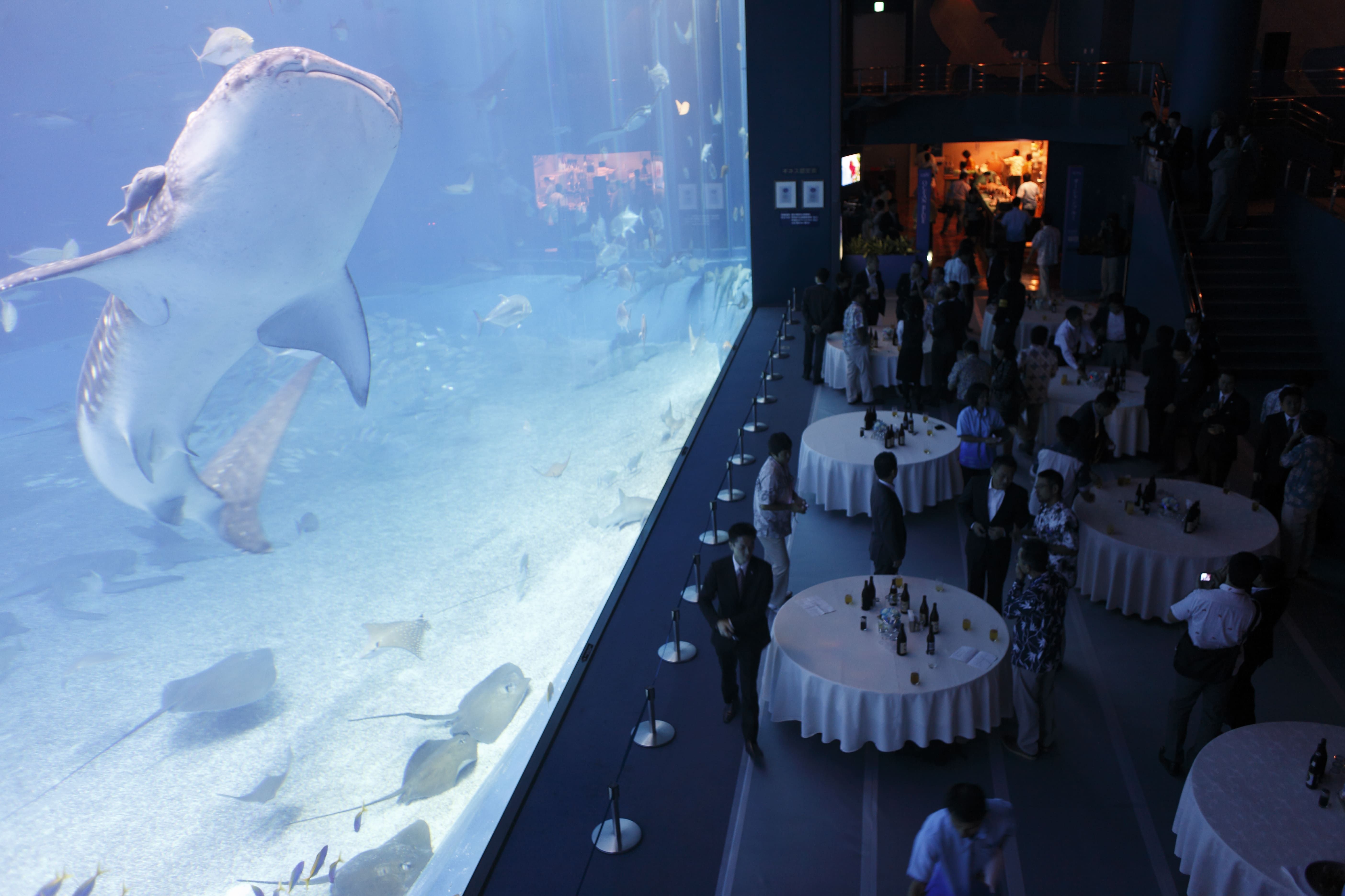 Okinawa Churaumi Aquarium