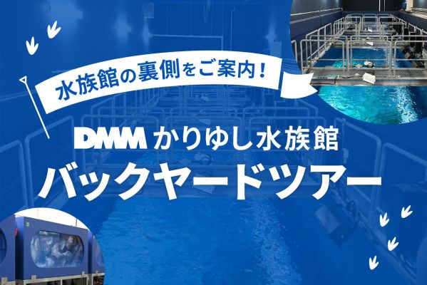 DMMかりゆし水族館「バックヤードツアー 」