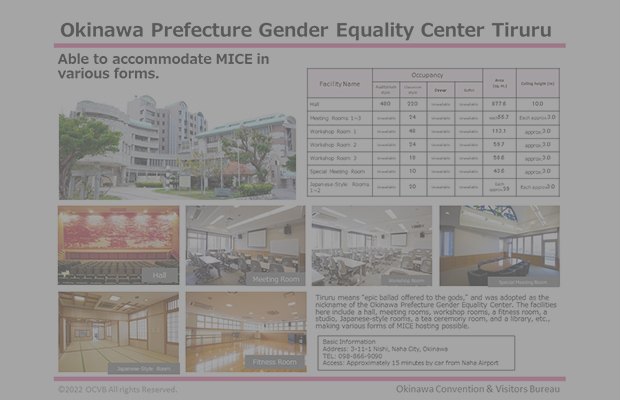 Okinawa Prefecture Gender Equality Center Tiruru