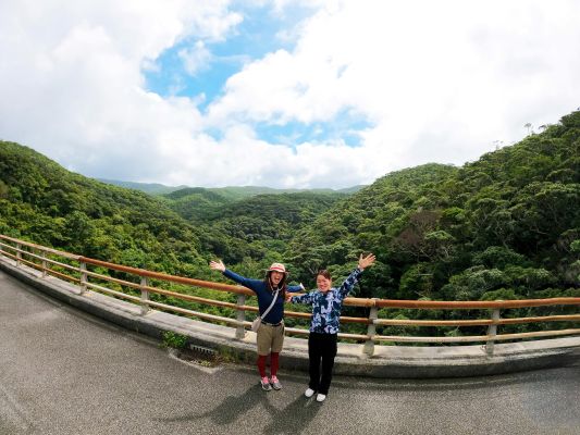 やんばるの森ネイチャーガイドツアー