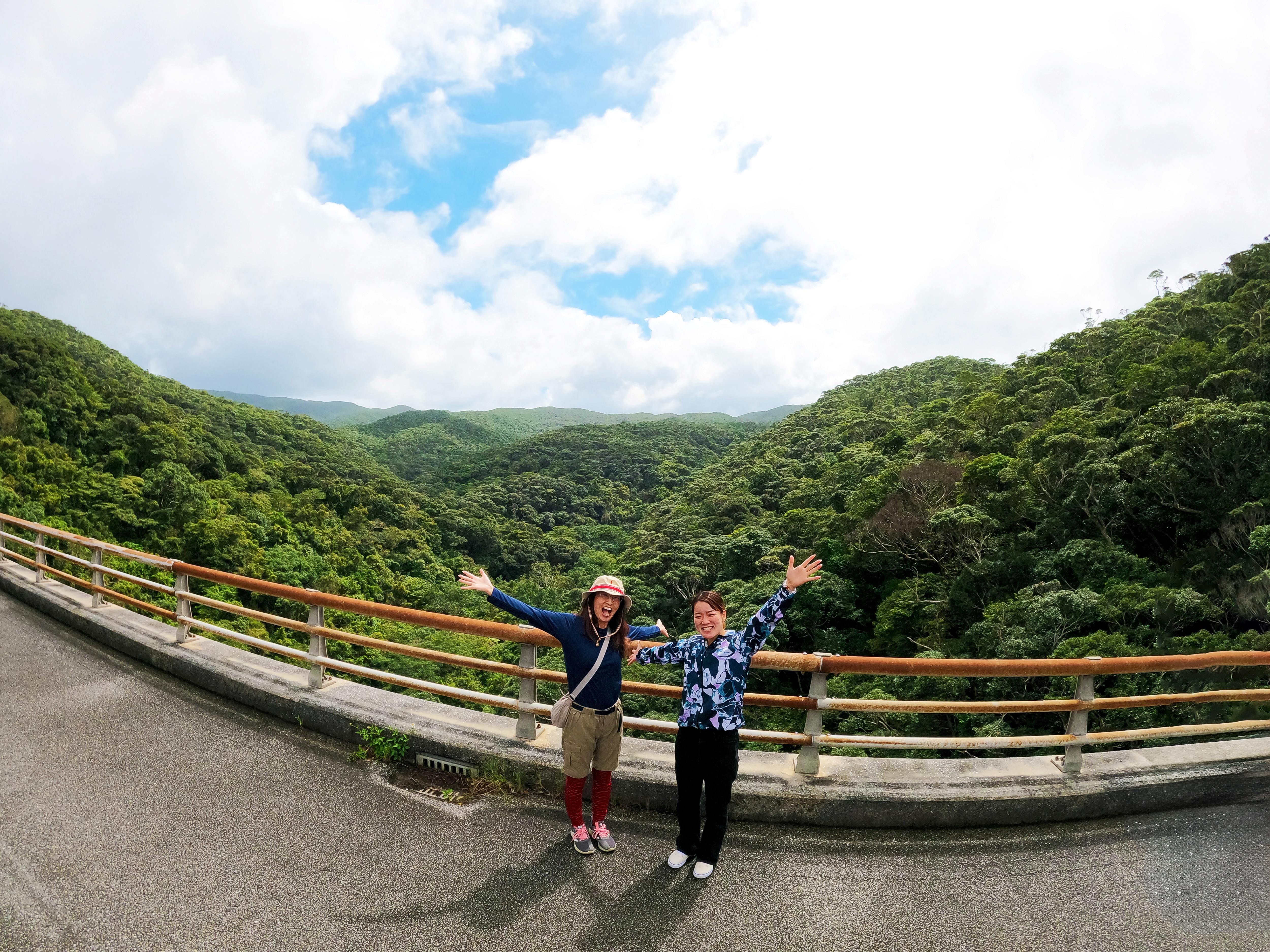 やんばるの森ネイチャーガイドツアー