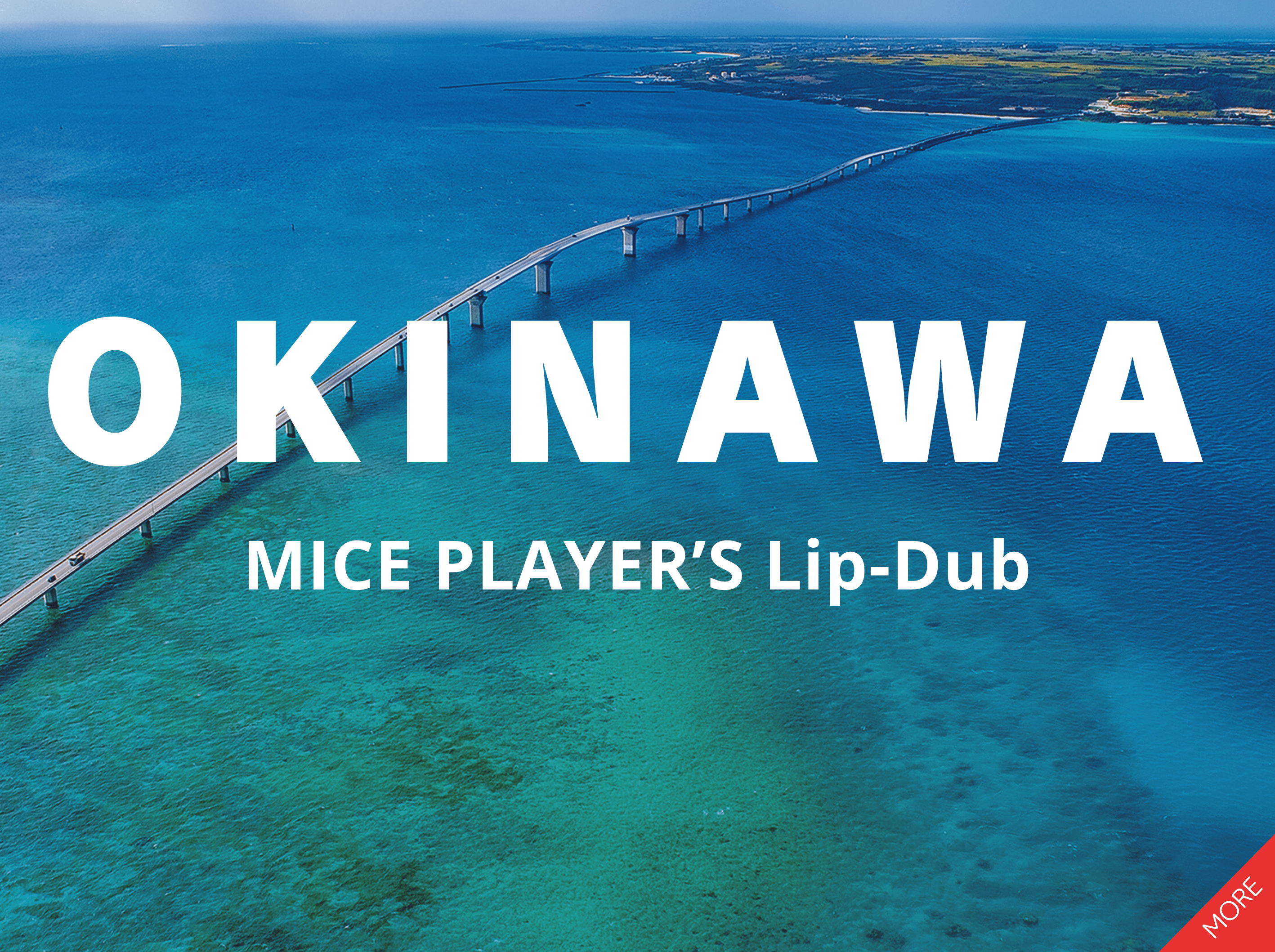 OKINAWA MICE PLAYER'S Lip-Dub