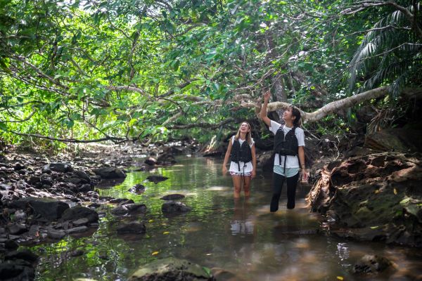 Iriomote Island ADVENTURE PiPi