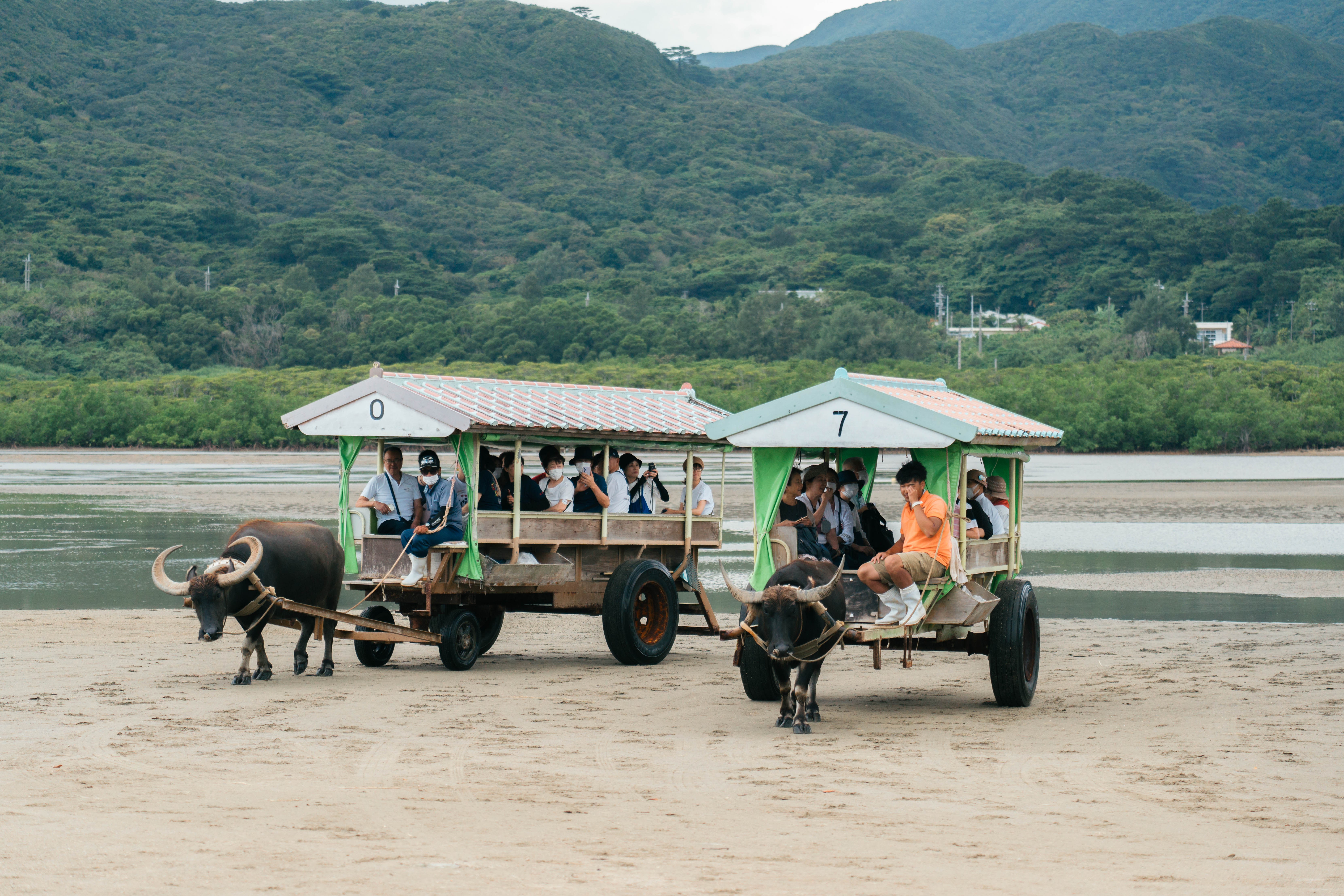 Iriomote Island ADVENTURE PiPi