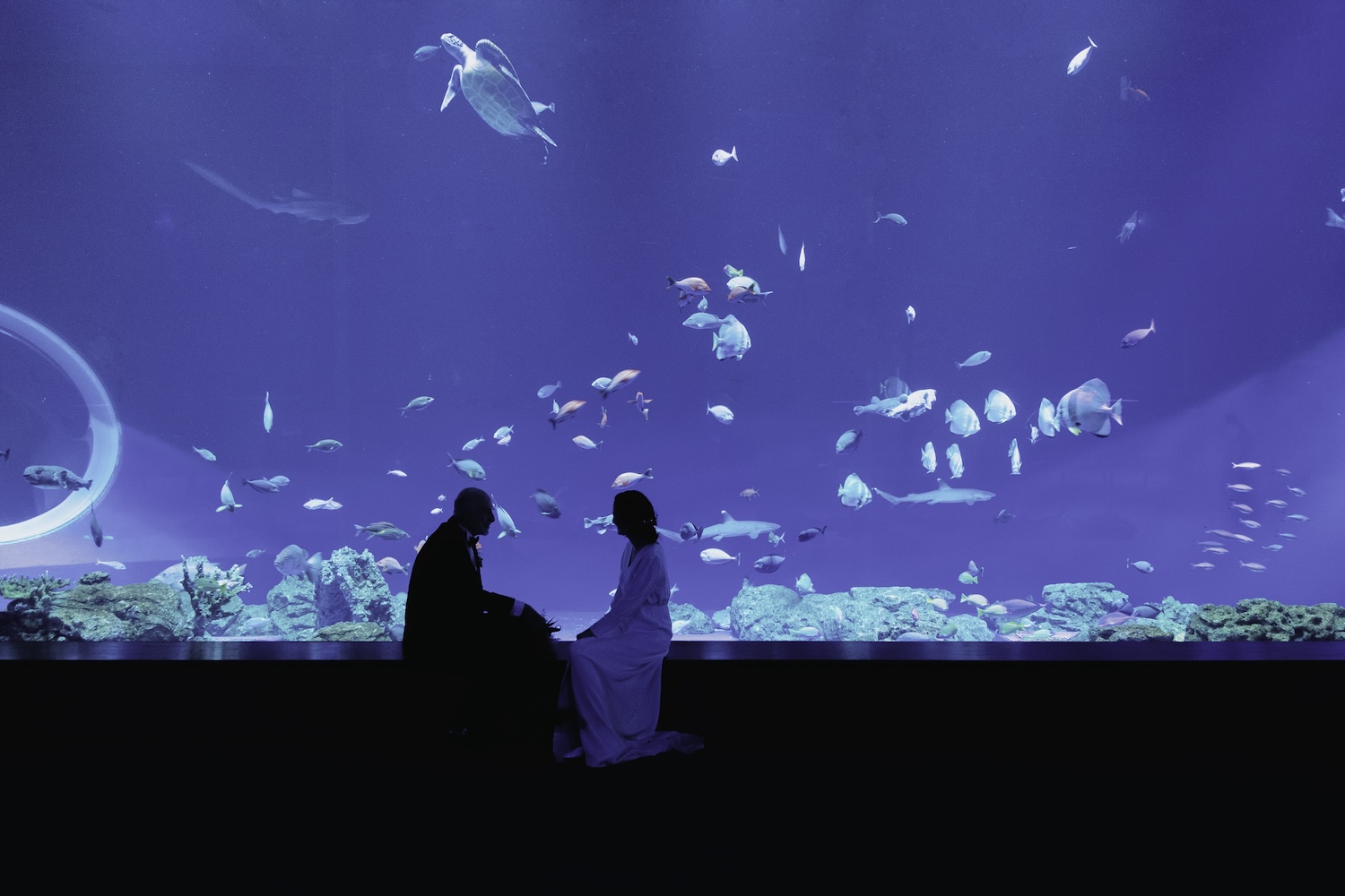 DMM かりゆし水族館